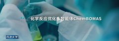 C）暨人工智能全球管理高级别会议正在上海召开