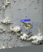 镜头捕获到的一个个画面跃然眼